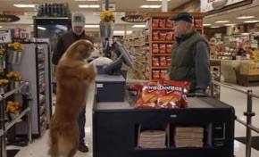 Doritos Dogs Behind the Scenes Making of Jacob Chase award winner